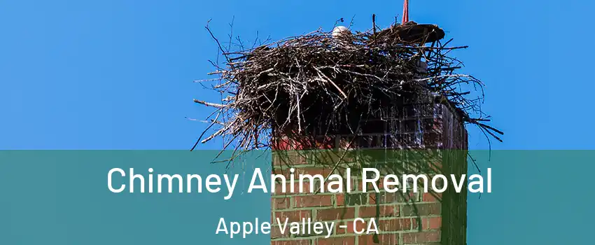  Chimney Animal Removal Apple Valley - CA