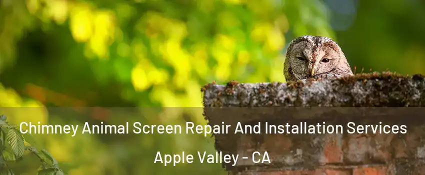  Chimney Animal Screen Repair And Installation Services Apple Valley - CA