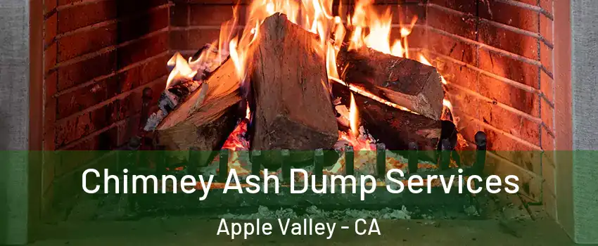  Chimney Ash Dump Services Apple Valley - CA