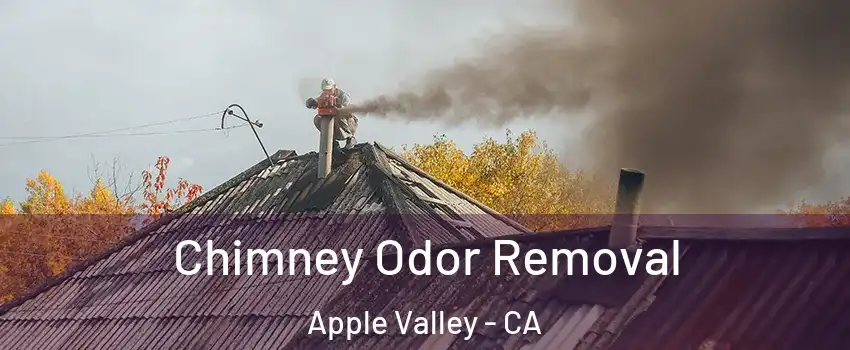  Chimney Odor Removal Apple Valley - CA