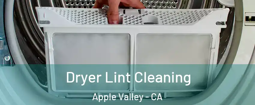  Dryer Lint Cleaning Apple Valley - CA
