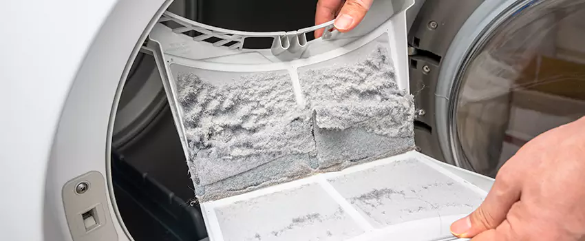 Best Dryer Lint Removal Company in Apple Valley, California