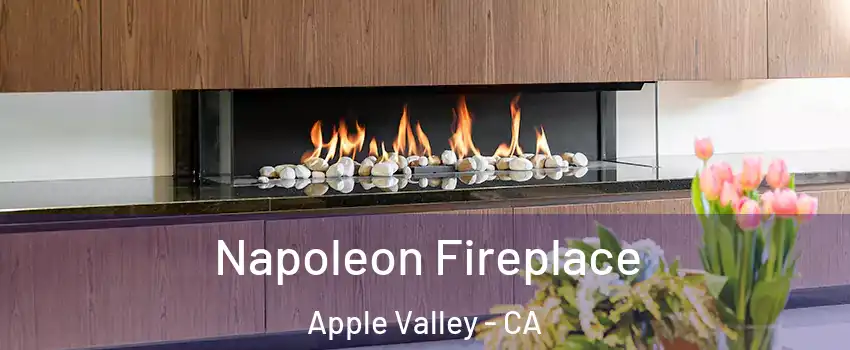  Napoleon Fireplace Apple Valley - CA